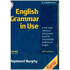 English grammar in use